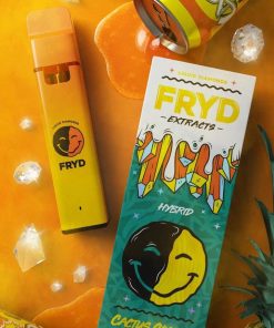 Fryd Disposable – Cactus Cooler