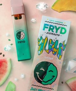 Fryd Disposable – Juicy Melon Dew