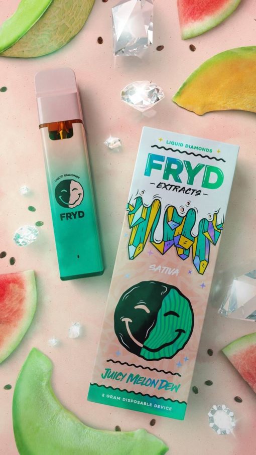 Fryd Disposable – Juicy Melon Dew